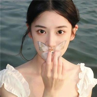 泰版狐狸的夏天